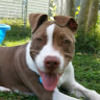 jamhansen2431